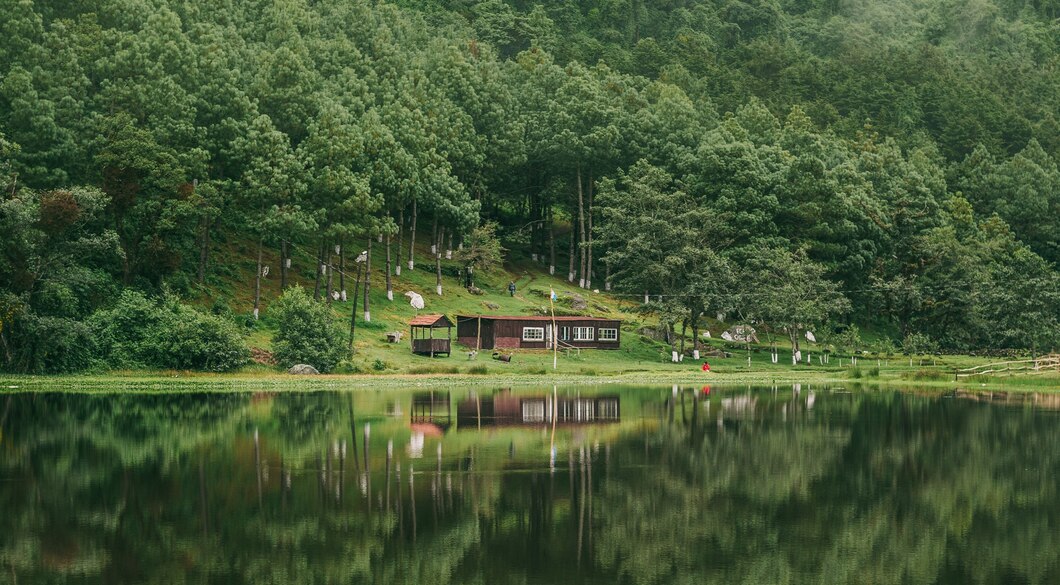 Czy apartamenty na Mazurach z widokiem na jezioro to idealne miejsce na urlop?