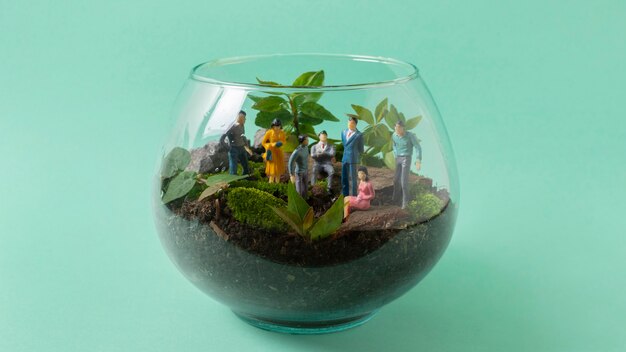 Jak odkryć radość z tworzenia domowego terrarium jako formy kreatywnego relaksu?